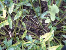 Ajouts sur le site - Aot 2014