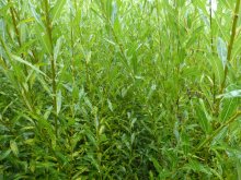 Ajouts sur le site - Aot 2014