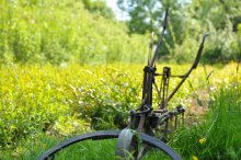 Culture de l'osier - C'est le printemps!!  Partie 3