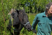 Culture de l'osier - C'est le printemps!!  Partie 3