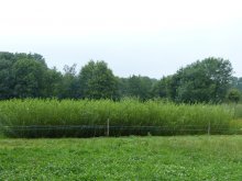 Ajouts sur le site - Aot 2014